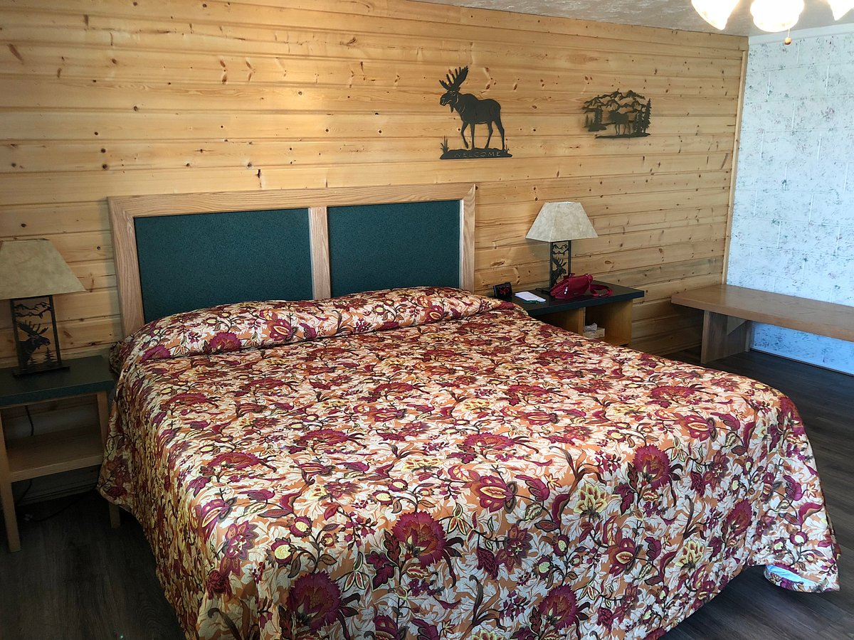 One Horse Motel, hôtel à Parc national de Yellowstone