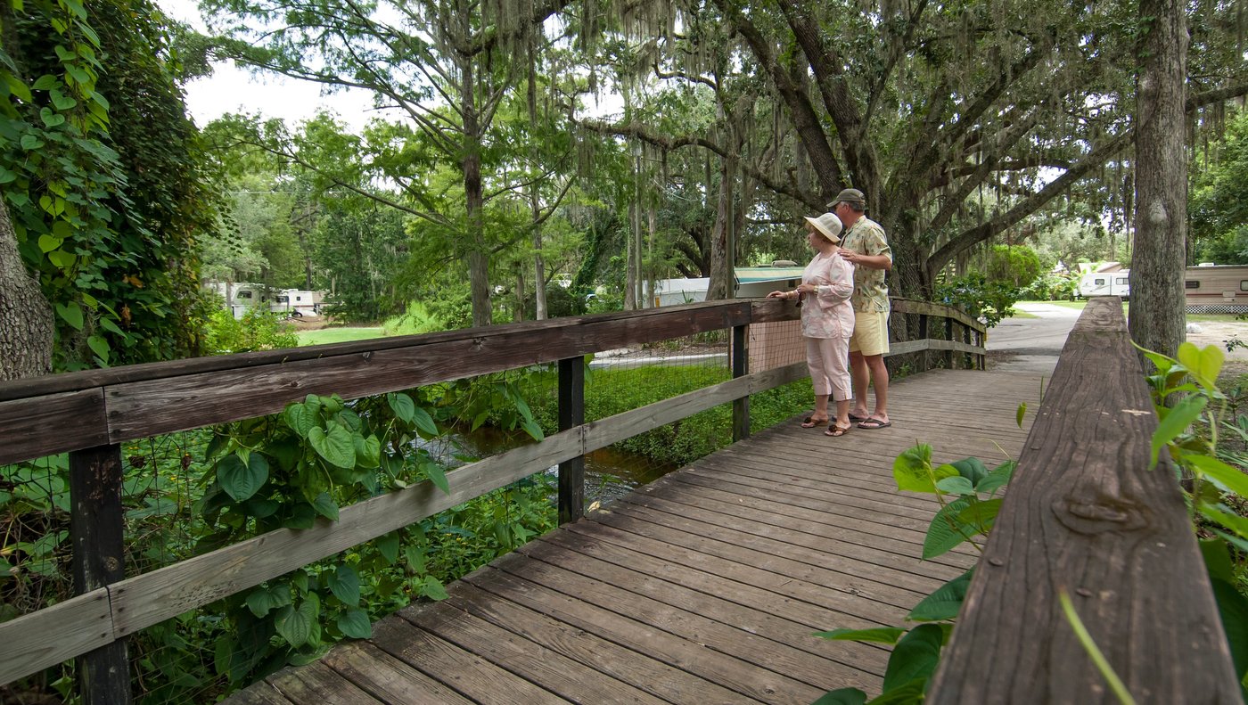 Escape to Sunshine and Serenity: Your Florida Adventure Awaits at Mill Creek RV Resort