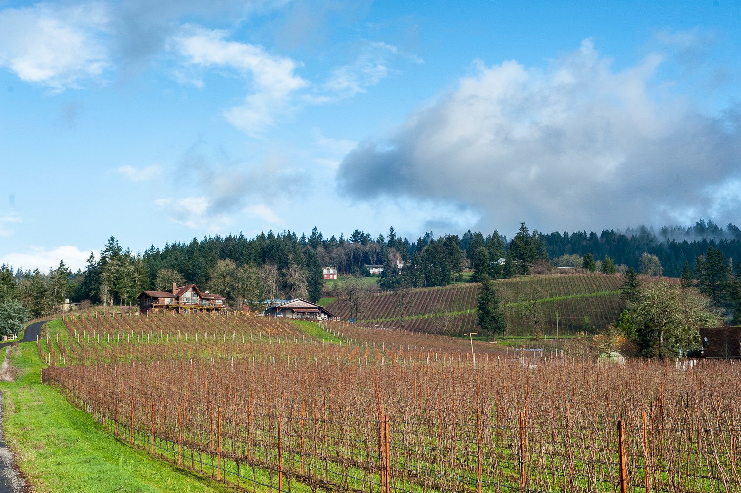 Newberg wineries deals