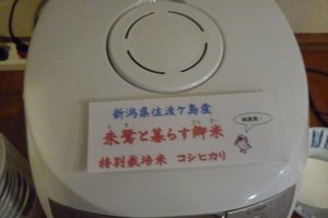 旅行者の写真