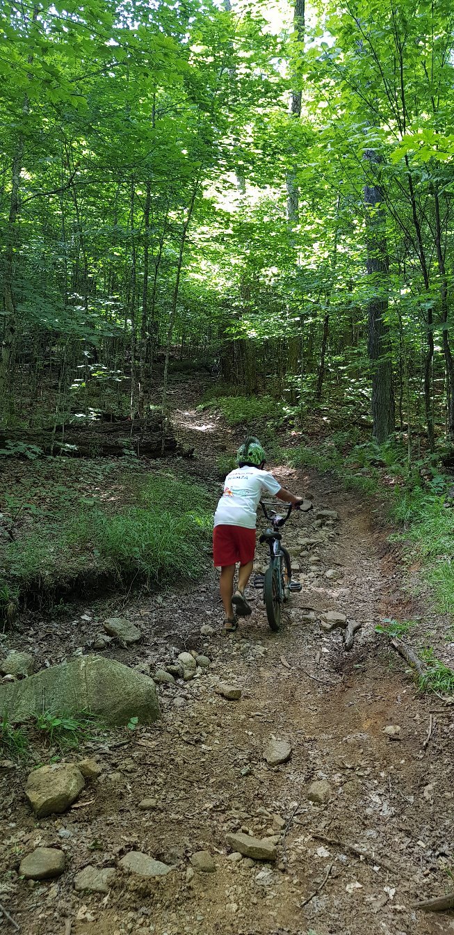 Algonquin bike sale trail