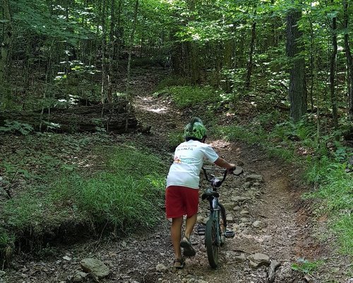 algonquin bike trail