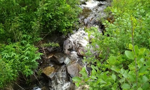 The small creek leading to the memorial.