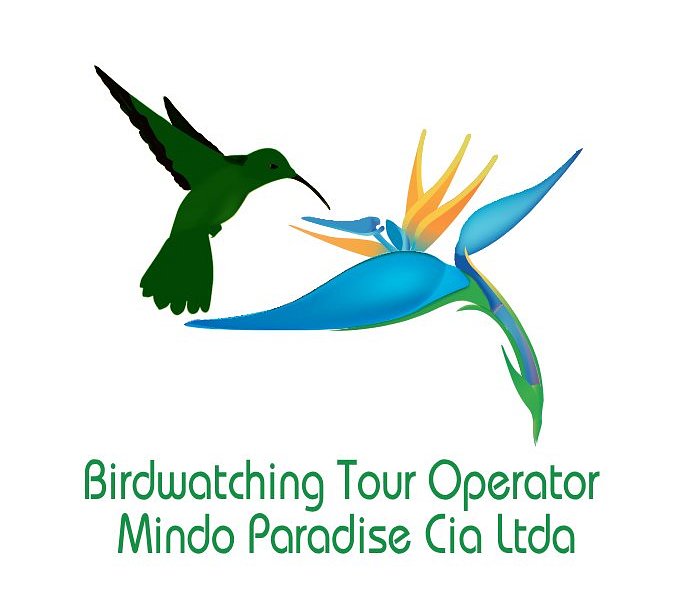 mindo bird paradise tours
