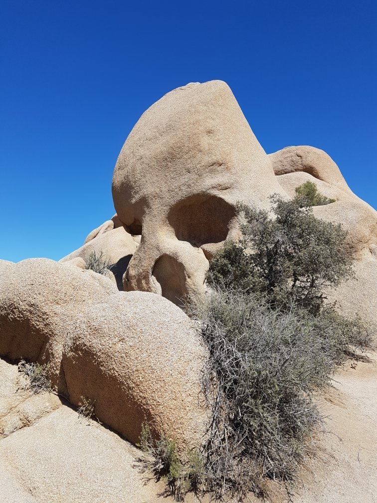 Skull Rock (Joshua Tree National Park) - All You Need to Know BEFORE You Go