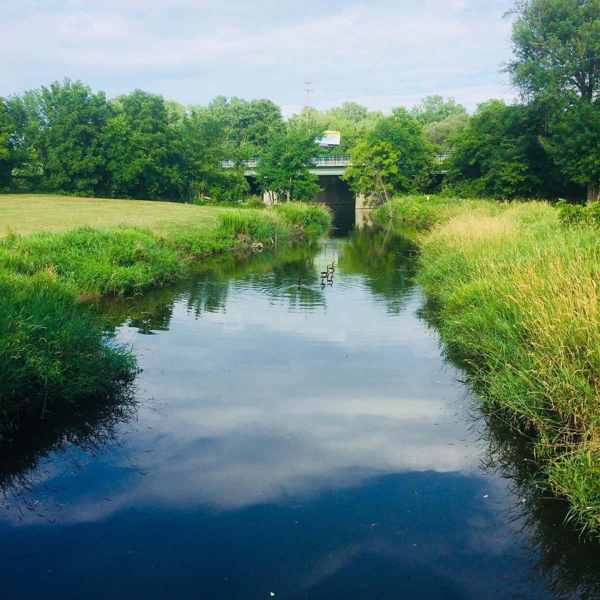 George George Memorial Park - Clinton Township - Bewertungen und Fotos