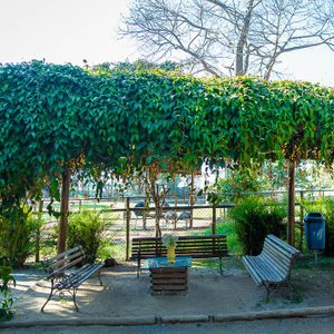 CACHOEIRA EM COTIA que quase ninguém conhece #cachoeira #cachoeiraesco