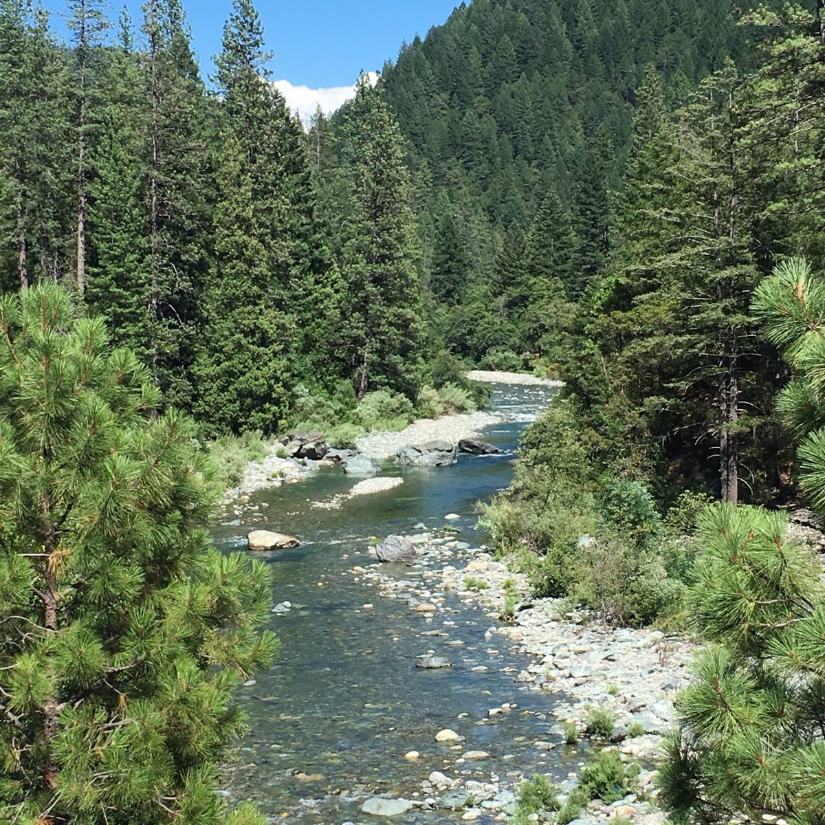 The 5 Best Hotels In Downieville, Ca 2024 (from $217) - Tripadvisor