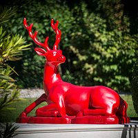 Hine stag