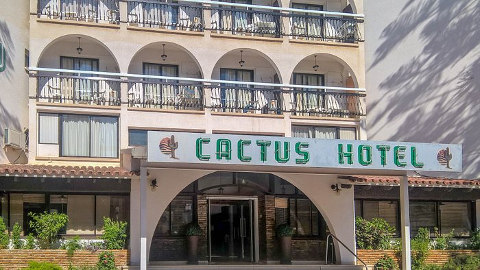 Cactus hotel отзывы