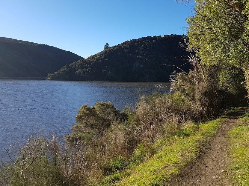 TAIERI RIVER TRACK (Taieri Mouth) 2022 What to Know BEFORE You Go