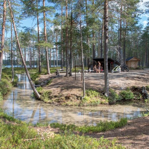 The 7 Best Things to do Good for Kids in Kainuu, Kainuu