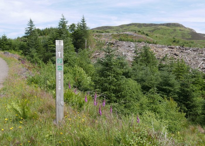 Route indicator