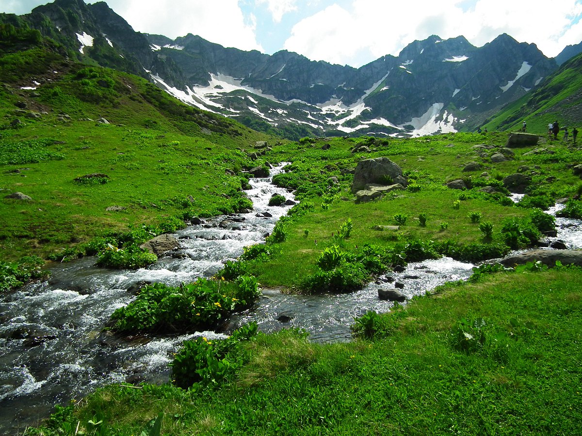 Альпийский луг на фоне горного пейзажа. Кабардино-Балкария, Россия
