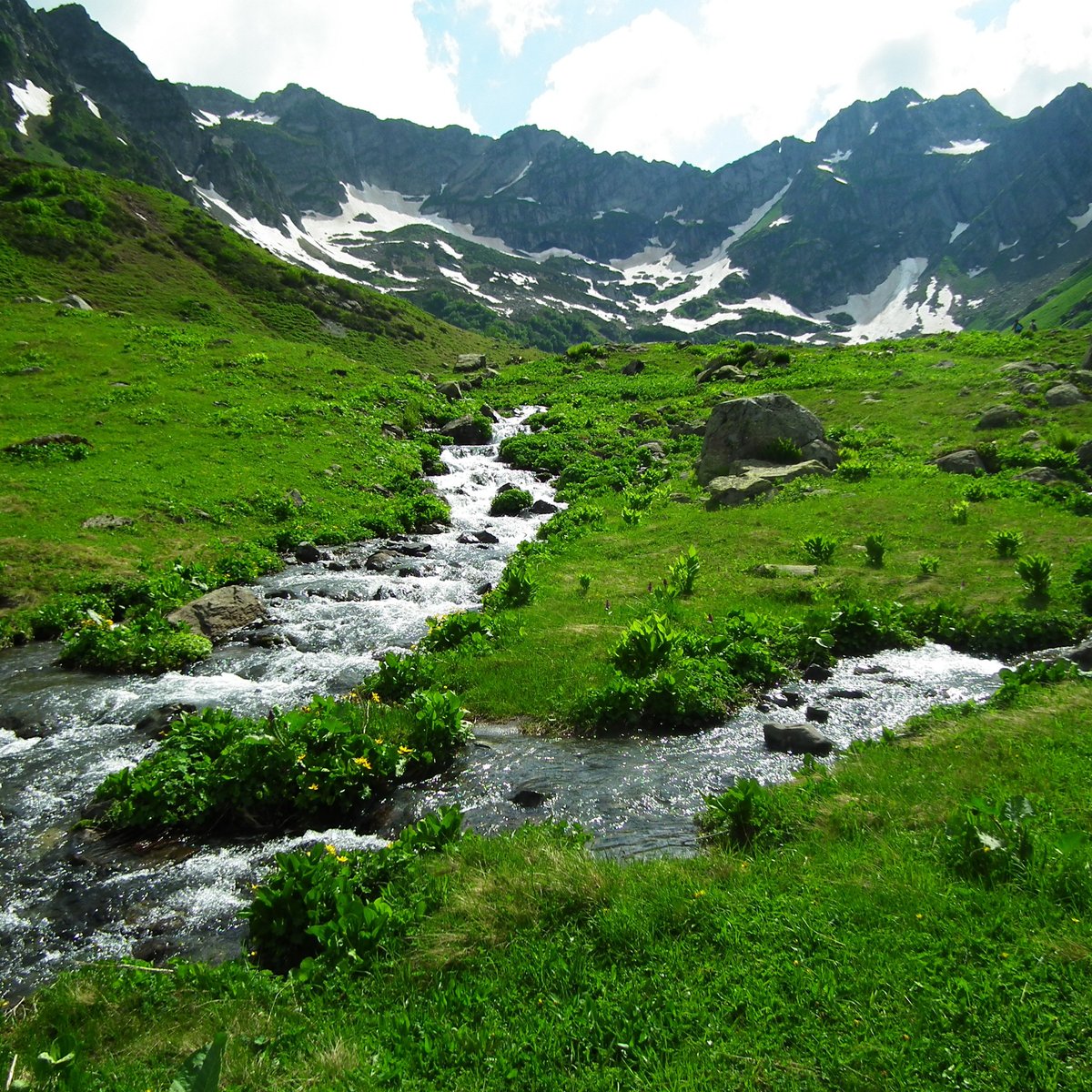 Абхазия. Альпийские луга.