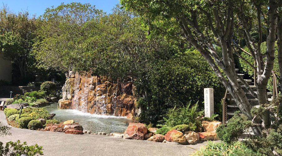 Japanese garden
