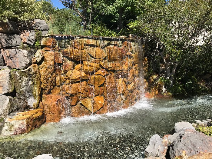waterfall in garden