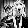 Alaska Sled Dog Tours
