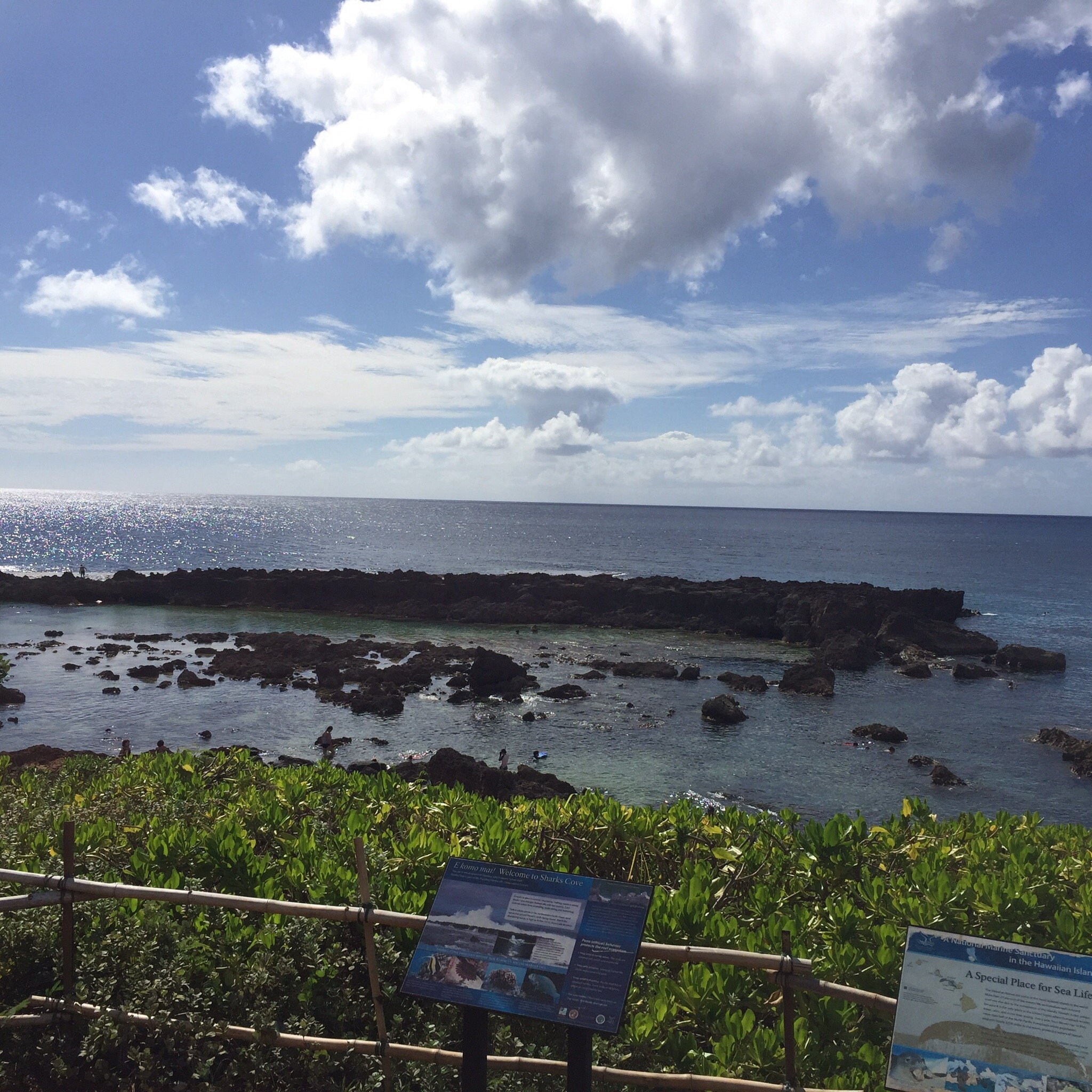 2023年 North Shore Surf Shop - 行く前に！見どころをチェック