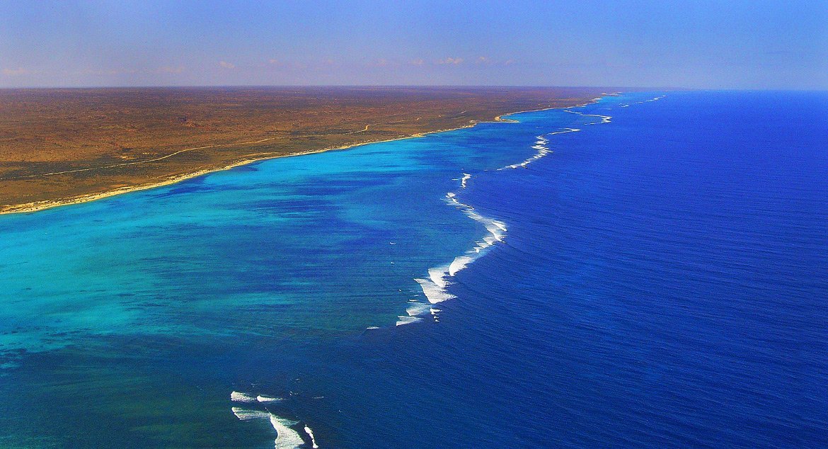 Ningaloo Game fishing Charters - All You Need to Know BEFORE You Go (2024)