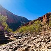 Things To Do in Ormiston Gorge, Restaurants in Ormiston Gorge
