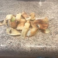These are a very small number of the nasty chips