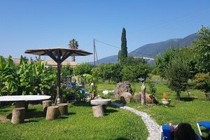 Zimmeraussicht