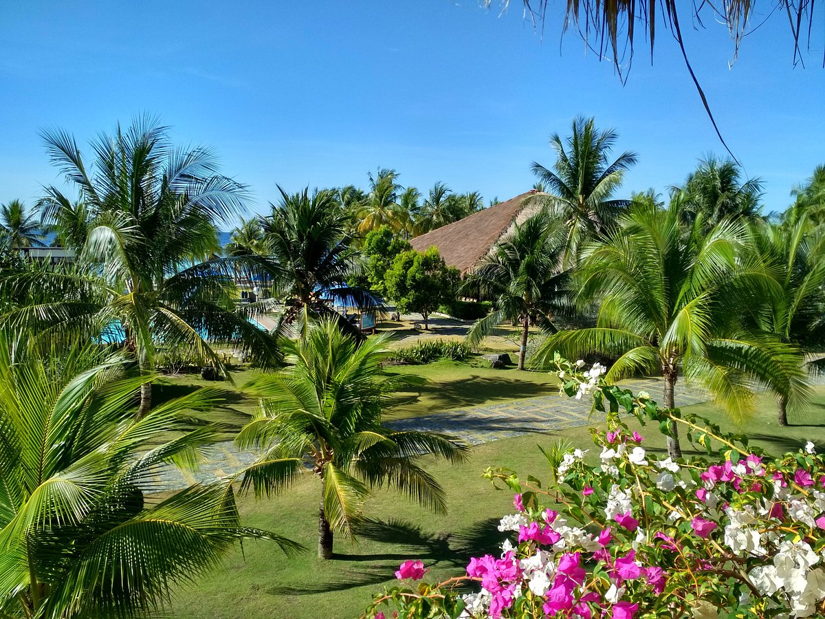 BOHOL BEACH CLUB (Филиппины/Остров Панглао) - отзывы, фото и сравнение цен  - Tripadvisor