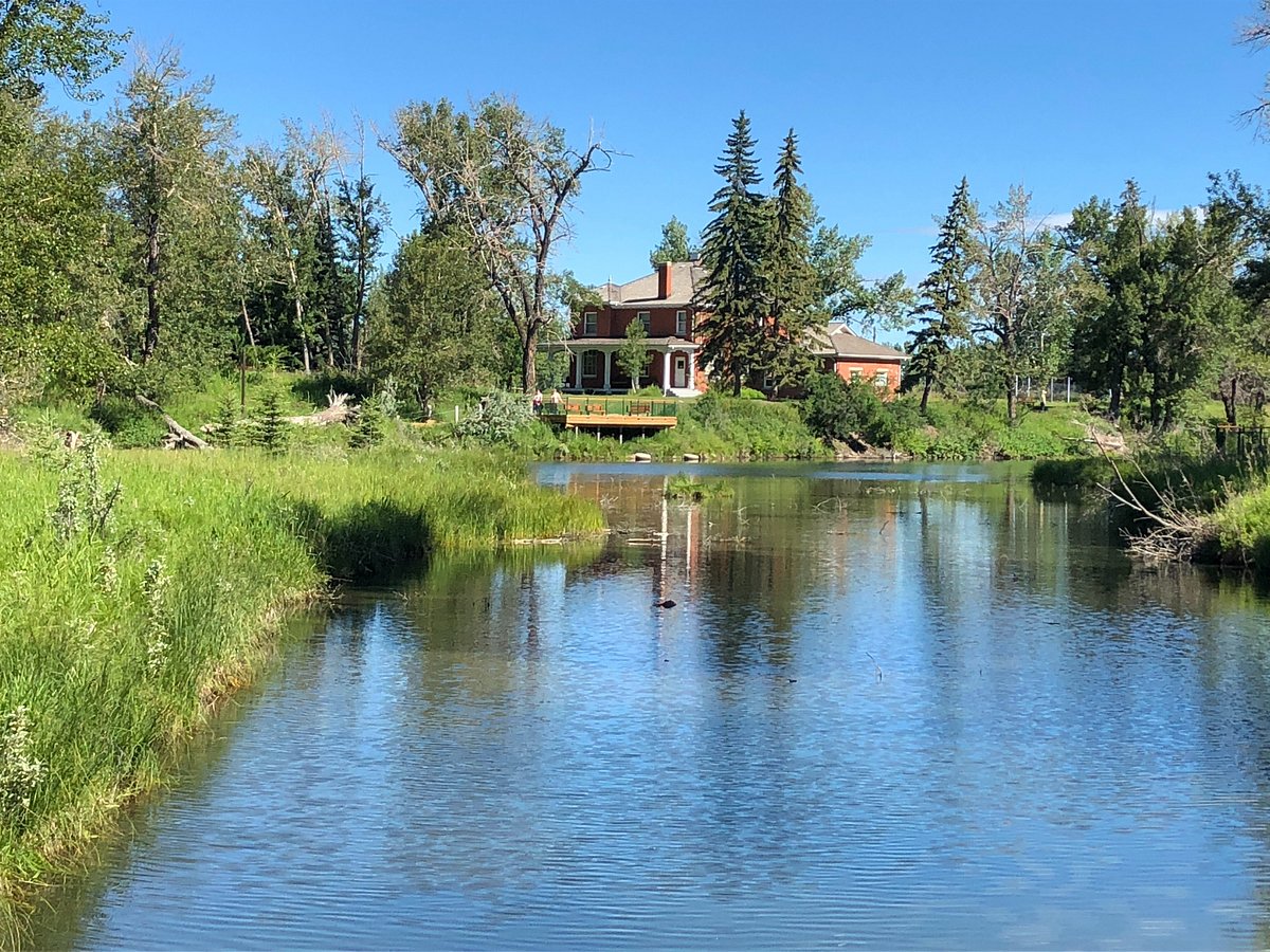 Inglewood Bird Sanctuary and Nature Centre (Calgary) Lo que se debe