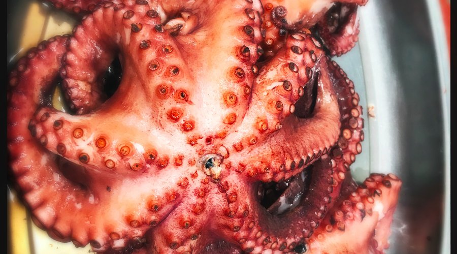 PULPO DE LA COSTA...