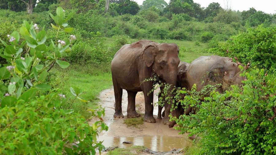 God's Own country.............