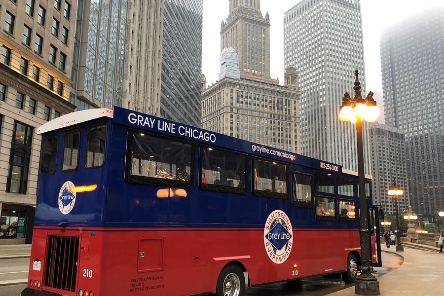 gray line tours in chicago