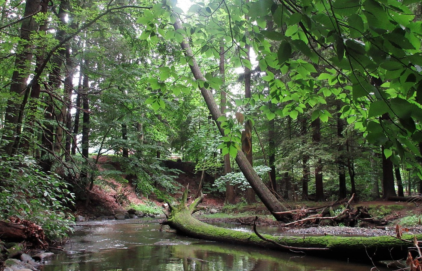 Suffern Tourism (2022) Best of Suffern, NY Tripadvisor