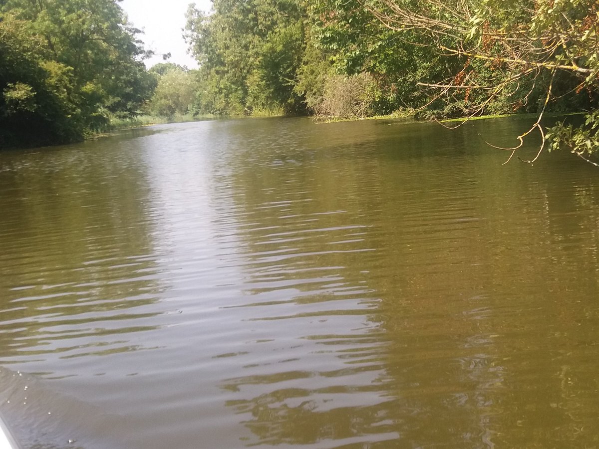 Royal Military Canal Rowing Boat Hire - All You Need to Know BEFORE You ...