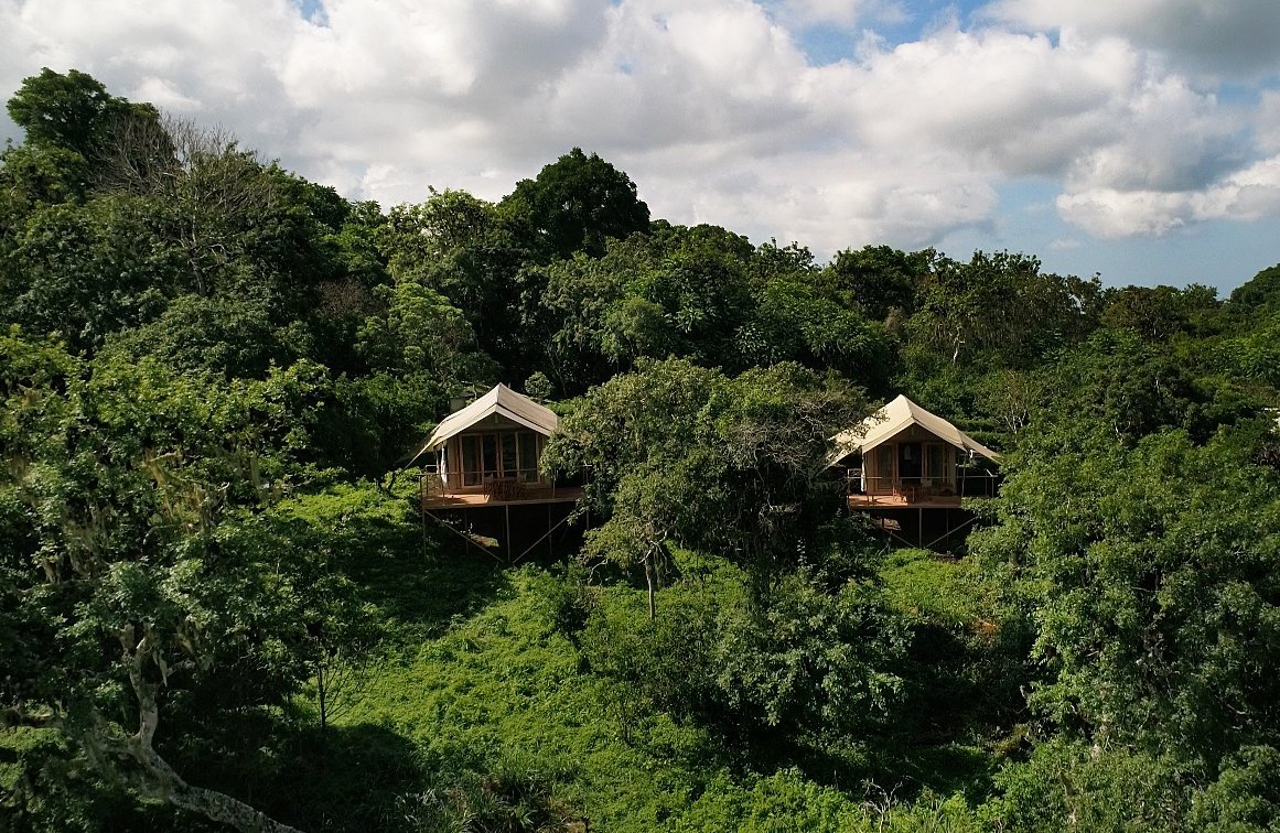 Galapagos Safari Camp by null