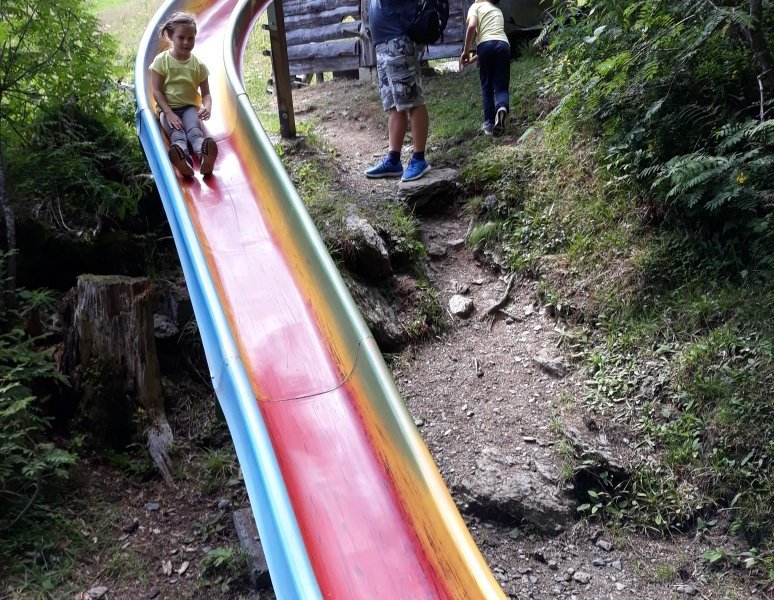 Swiss Adventure Parks: A Family-Friendly Guide to Thrills and Fun - Overview of Swiss Adventure Parks