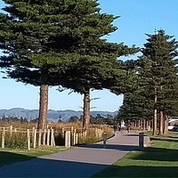 Oneroa cycle/walkway. Gisborne. Includes some cultural aspects and one day will have story board