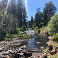 Shevlin Park (bend) - All You Need To Know Before You Go