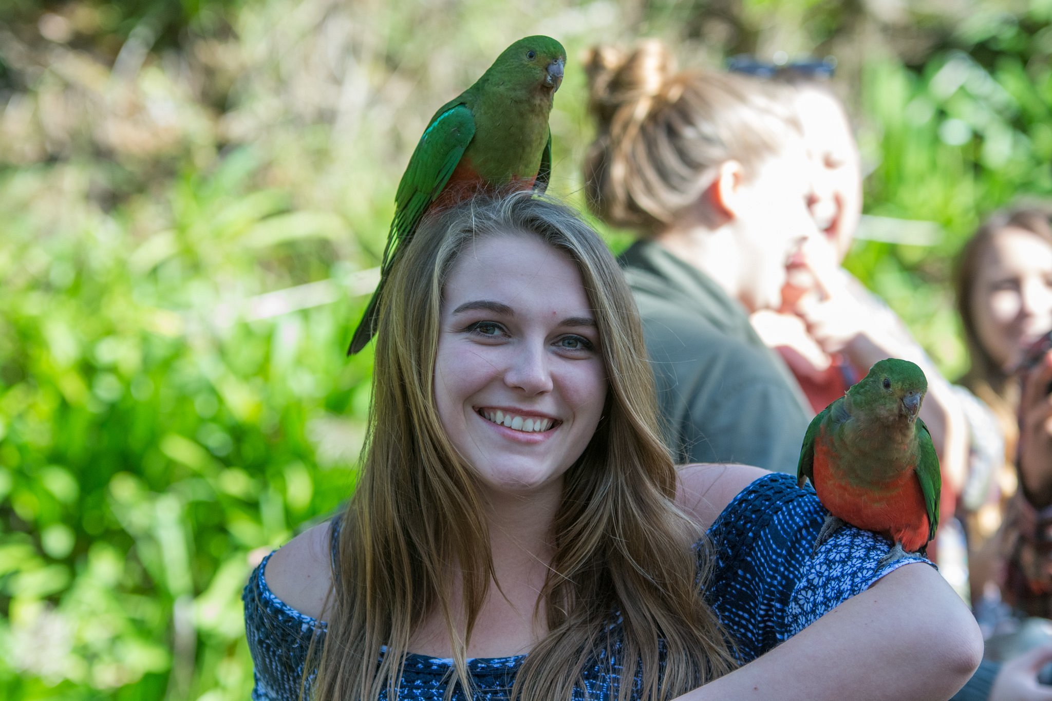 wildlife tours australia melbourne