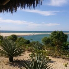 UNE VUE SUR LE SALOUM