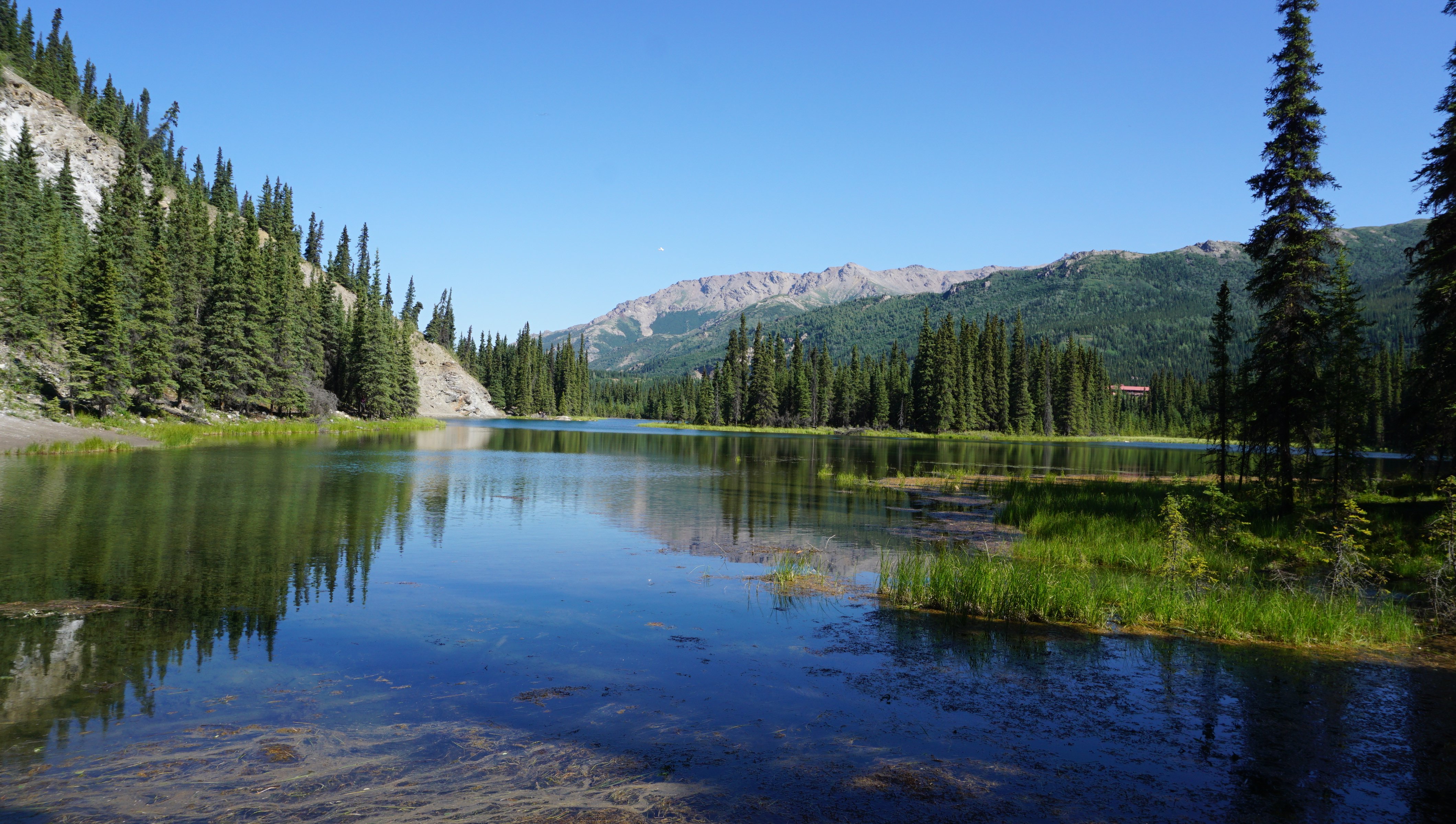 Denali horseshoe lake on sale trail