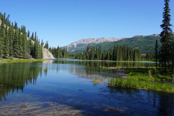 Denali National Park and Preserve, AK: All You Must Know Before You Go ...