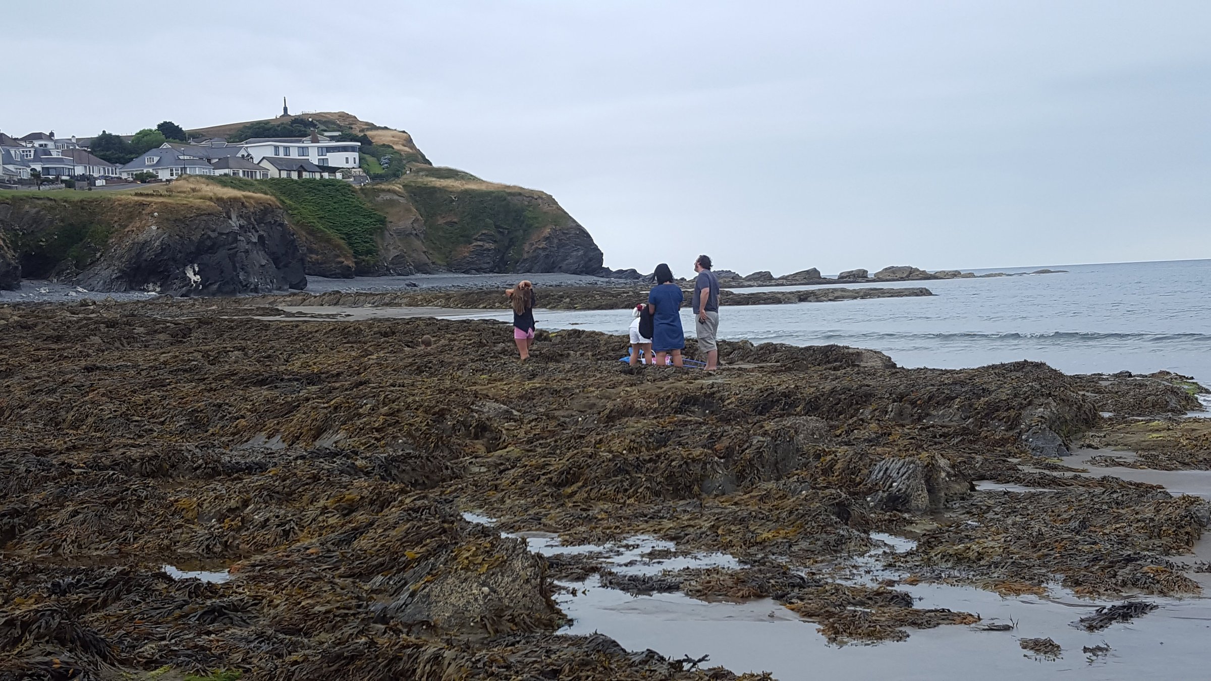 THE BEST Hotels in BorthyGest, Wales 2024 Tripadvisor