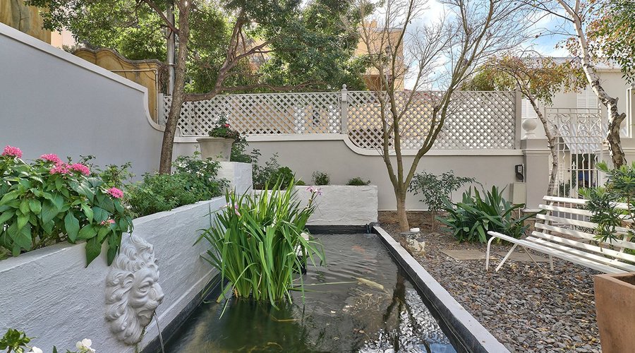 Koi  Pond