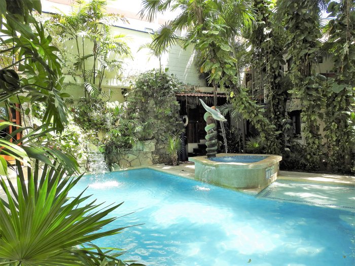 Imagen 7 de Eco-Hotel El Rey Del Caribe