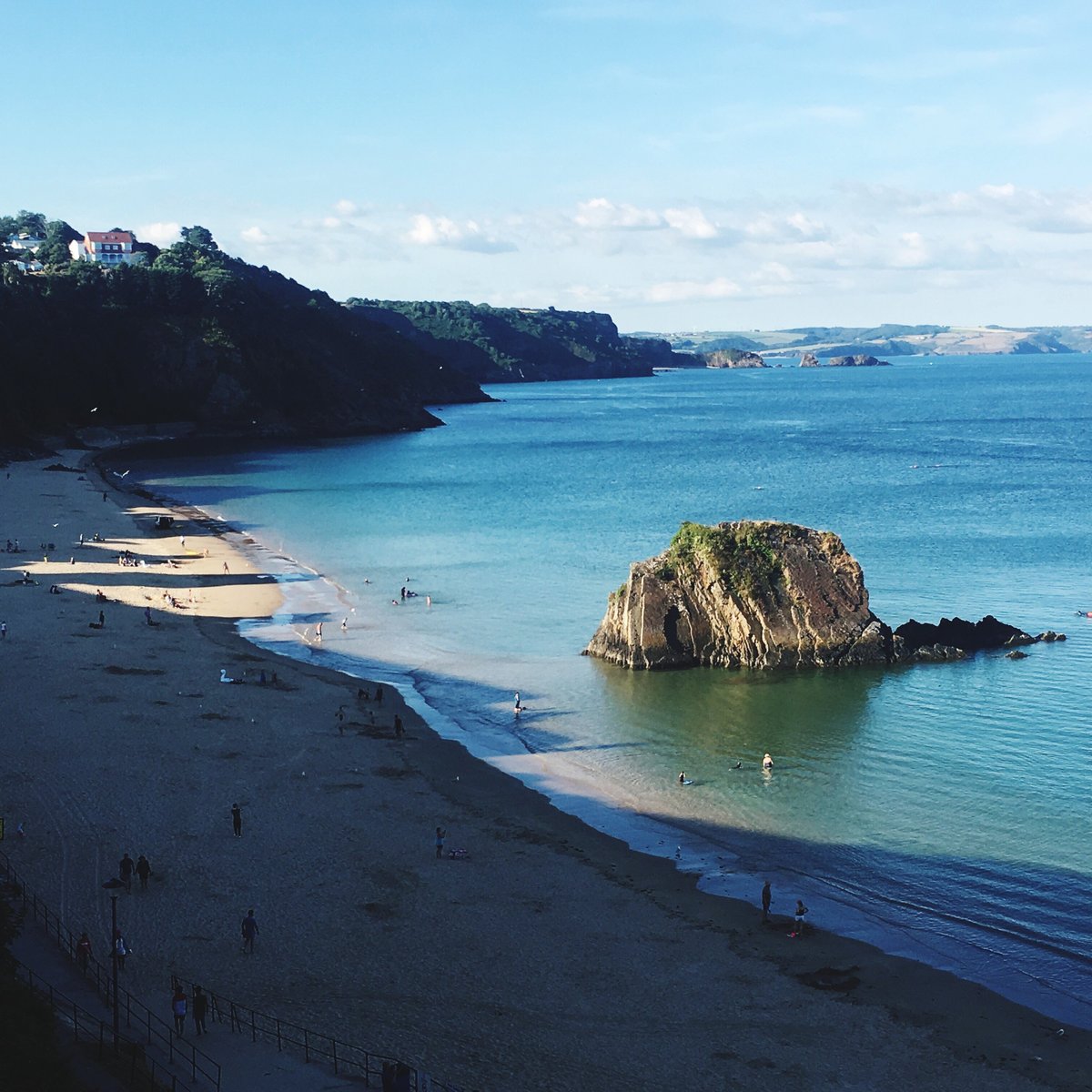 does tenby beach allow dogs