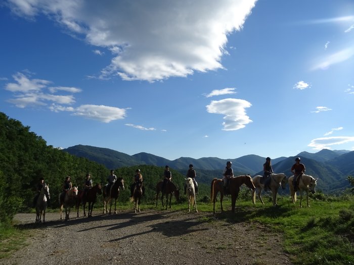 Imagen 4 de TRAC Terápies I Rutes Amb Cavall