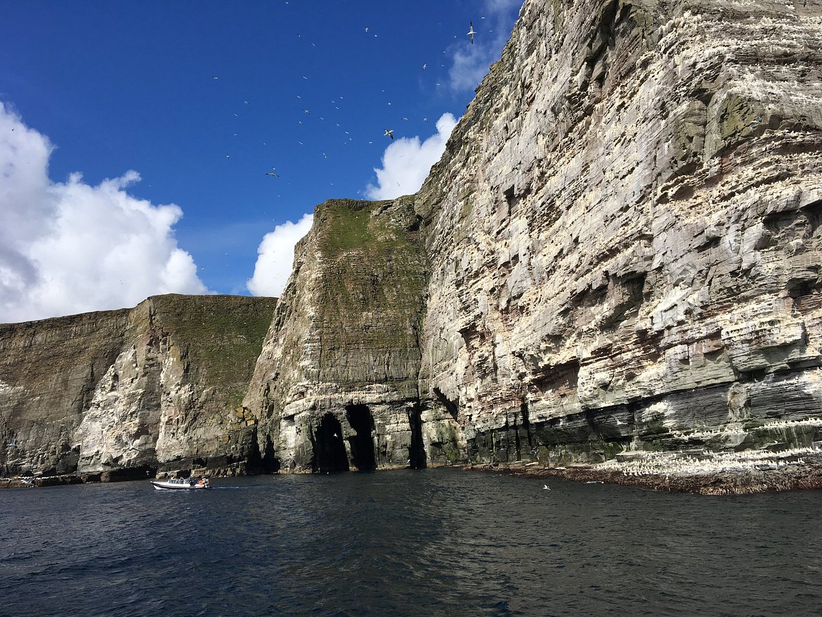 shetland boat tours