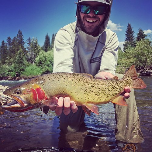 Wyoming Fishing Guides - Wyoming Anglers Fly Fishing