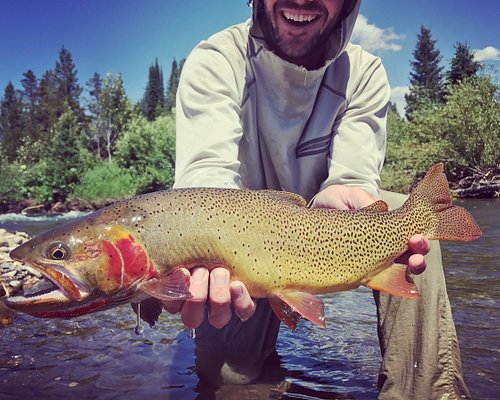 montana fishing tours